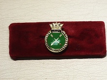 HMS Arrow lapel pin - Click Image to Close
